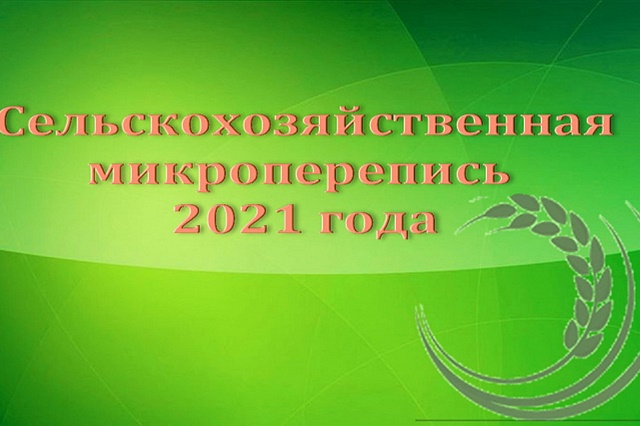 foto-26-07-2021-09-44