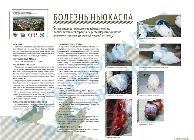 foto 06 12 2022 16 20