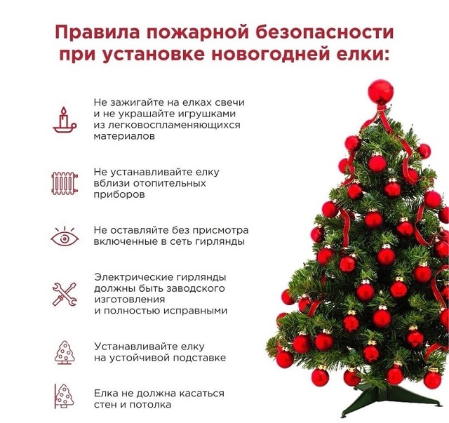 foto 2023 12 27 11 36