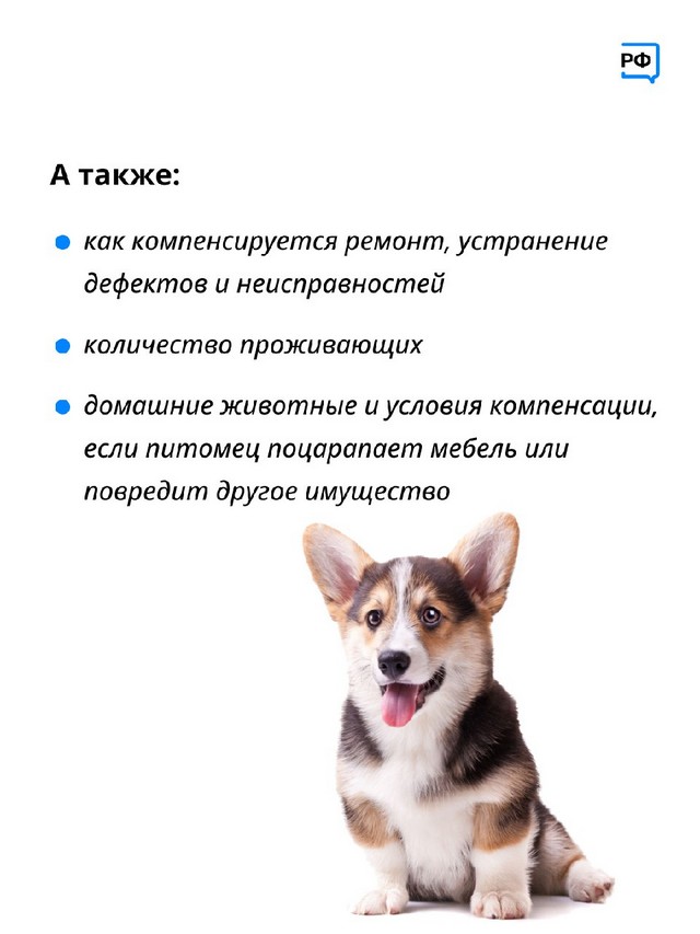 foto 2024 02 27 11 41 4