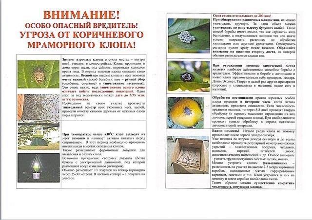 foto 2024 04 05 10 14