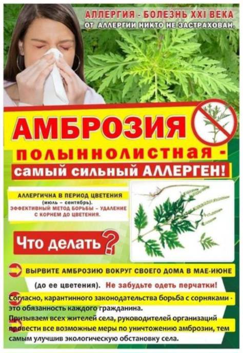 foto 2024 07 18 09 59 001
